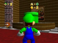 The pipe leading to Wiggler's Forest Fortress.