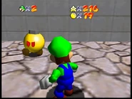 Fake Bob-omb Buddy who explodes when approached.