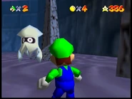 The anomalous Blooper on land.