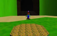 PC3.jpg (172 KB) Luigi is tired of finding creepy holes.