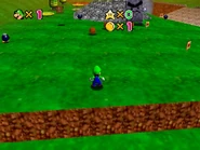 The land on the right side of the river.