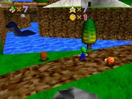 Dorrie swimming through the river.