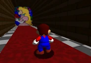 The Peach stained glass windows leading to Vanilla Castle Grounds.