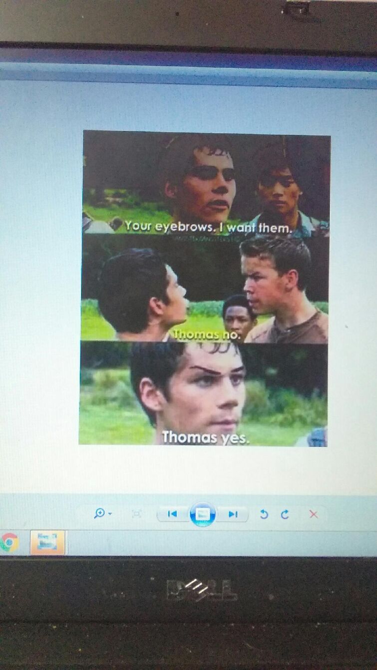 Daily Maze Runner Meme