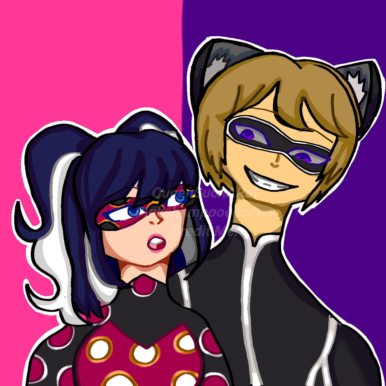 Fan Art of Miraculous Ladybug and Cat Noir