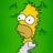 HomerSimpsonTheOneAndInly's avatar