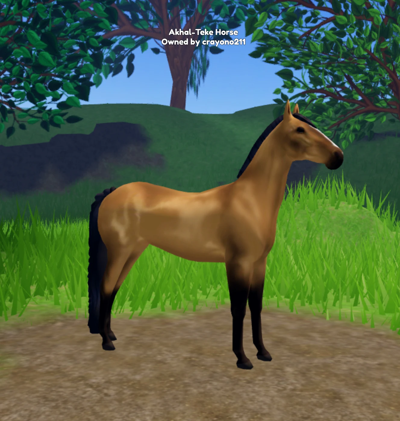 Name ideas?? | Fandom