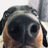 MonsieurTofu's avatar