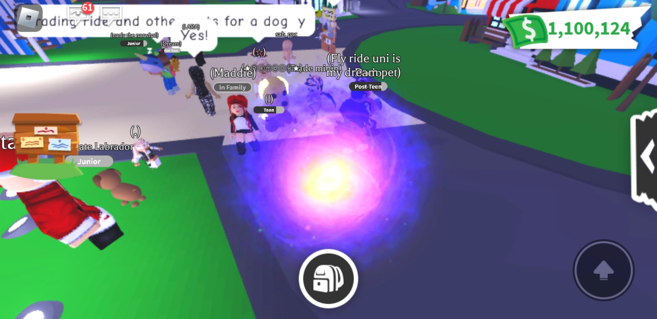 My favorite thing to do in adopt me Fandom