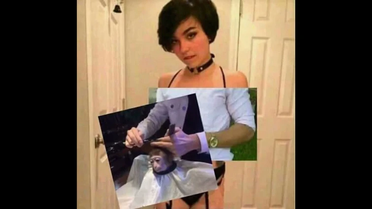 CONCURSO DEL MADRUGADOR IX EDICION - Trailer Oficial