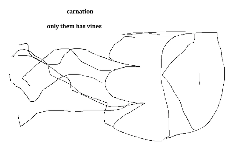 Discuss Everything About Grace Wiki | Fandom