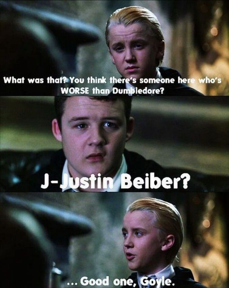 Harry Potter Memes - Harry and Draco.