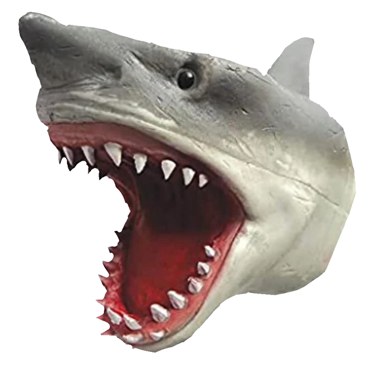 Discuss Everything About Shark Puppet Wiki Fandom