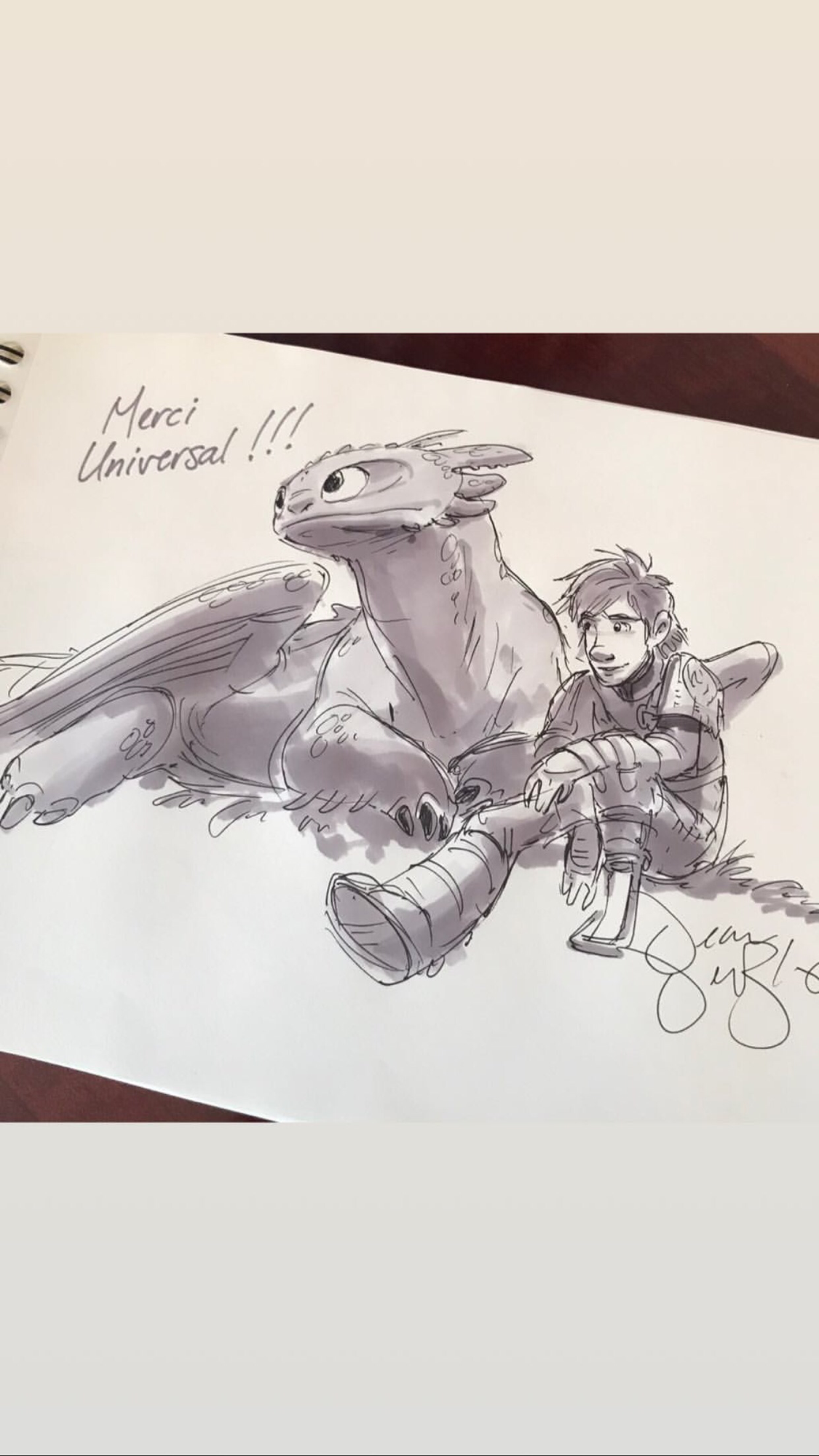 toothless and hiccup drawing