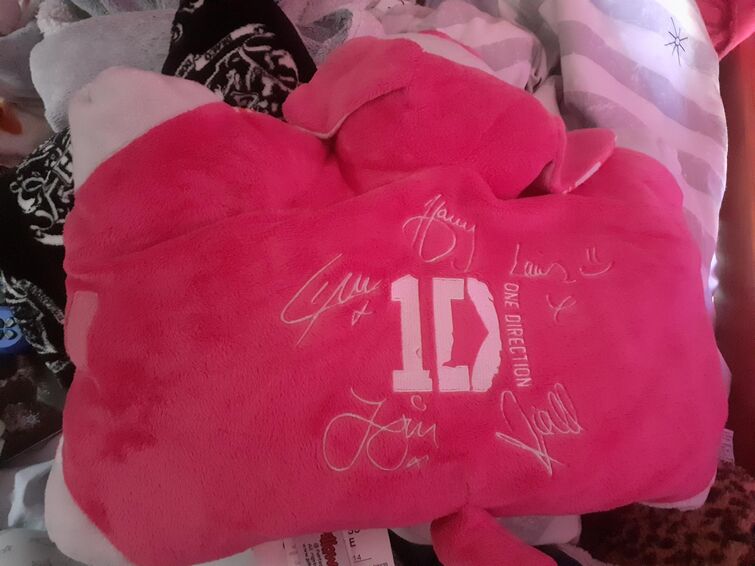 I want this One direction pillow pet<<< I NEED this one direction