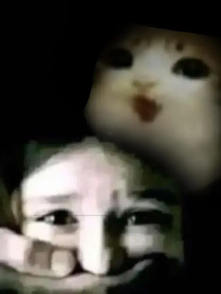 Me to that person who keeps activating Twisted RnD and Twisted Rodger ...