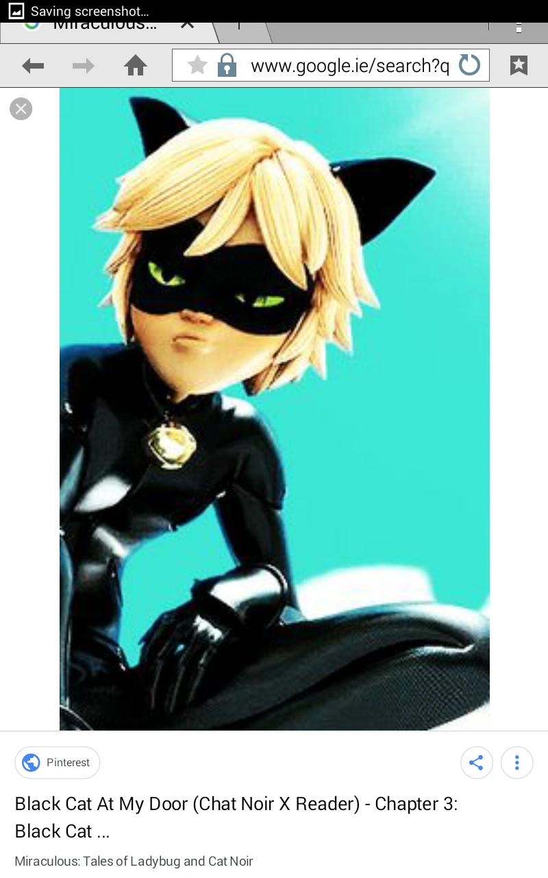 Fallen Tears Of The Sinner Adrien Agrestechat Noir X Reader