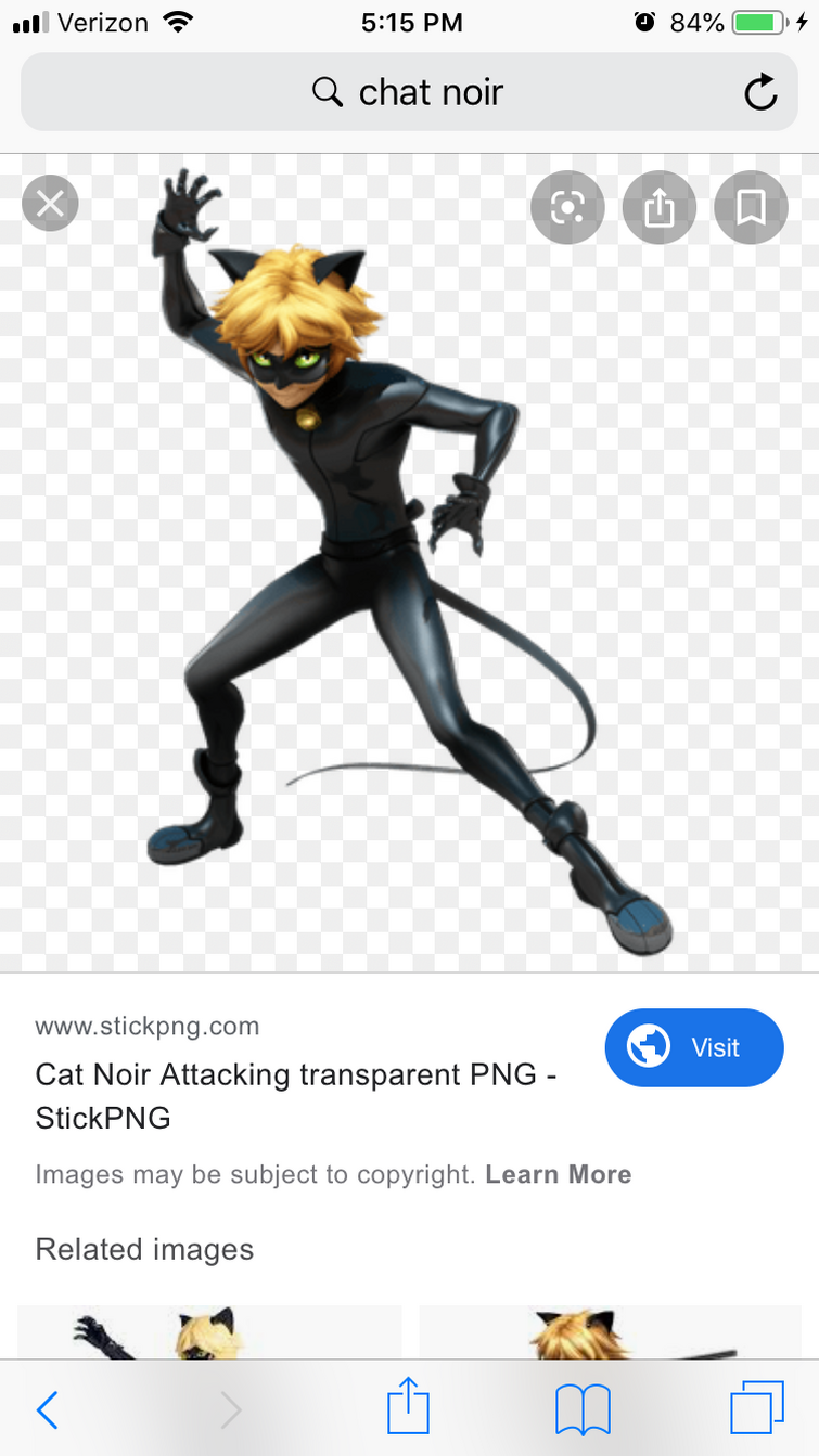 Cat Noir Attacking transparent PNG - StickPNG