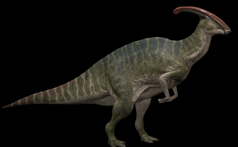 accurate parasaurolophus