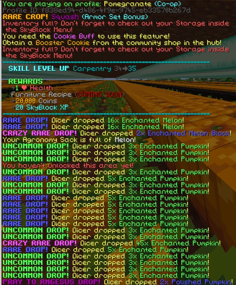 Roll' em perks of Melon and Pumpkin Dicers got buffed in patch 0.19.1