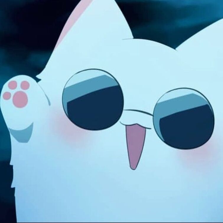 Gojo Satoru cat (≧ ≦) | Fandom