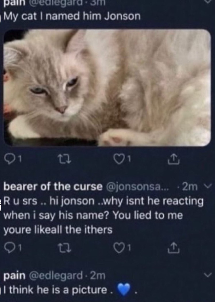 My cat I named him Jonson | Fandom
