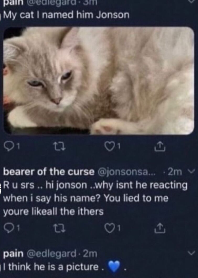My cat I named him Jonson | Fandom