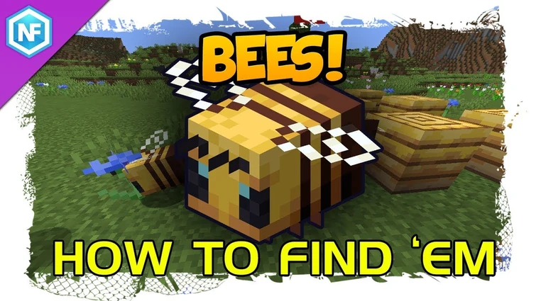 How to find bees Minecraft survival Tutorial