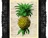 Pineapple18's avatar