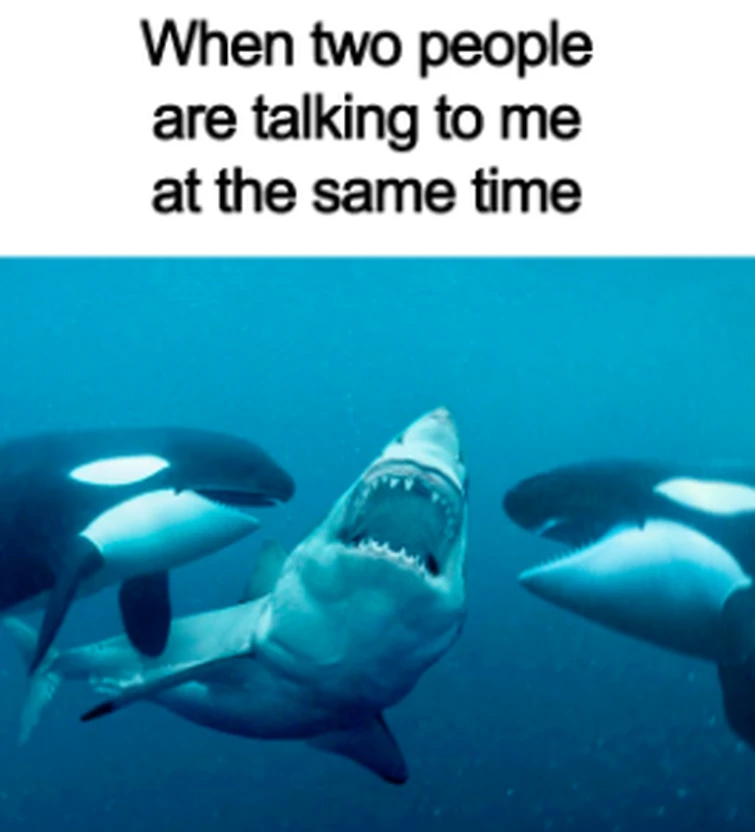 🤫🧏 meaning | Fandom