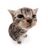 Fredd-The-Fredd-Is-Freaking-Fredd's avatar
