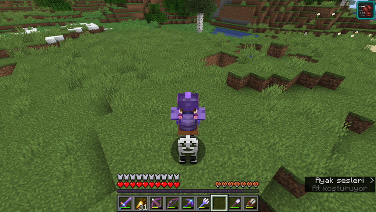 Discuss Everything About Minecraft Wiki Fandom