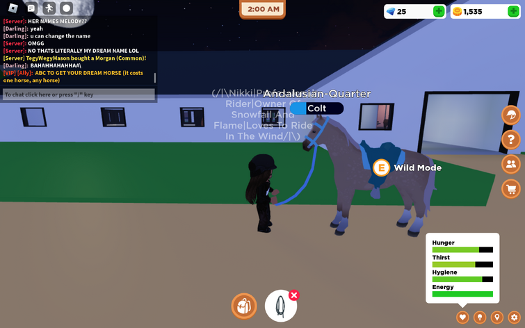 Quarter Horse, Horse Valley 2 ROBLOX Wiki