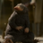 TomRobert15NifflerDillie's avatar