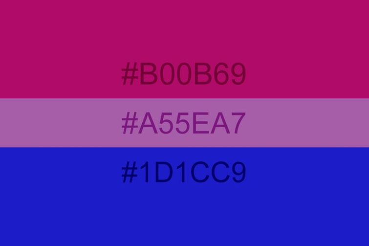 just-a-reminder-that-the-hex-code-names-of-the-colors-in-the-bi-flag