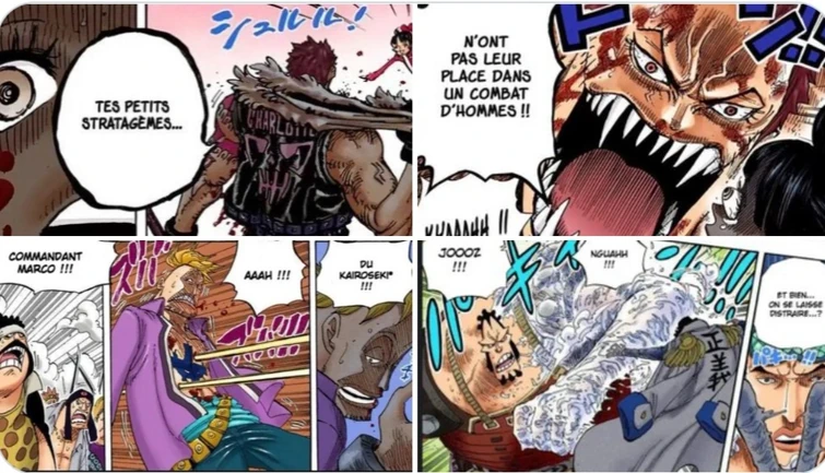 fujitora-ryokugyu-vs-luffy-fandom