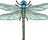 Summerdragonfly1's avatar