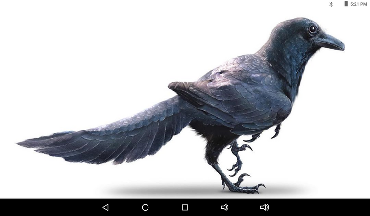 Corvid Novosaur who wants to keep this novosaur