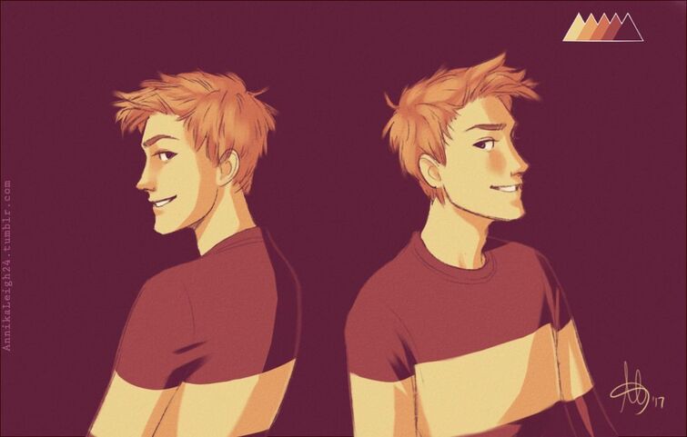 Fandom Image