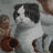 Rubbery Melon's avatar
