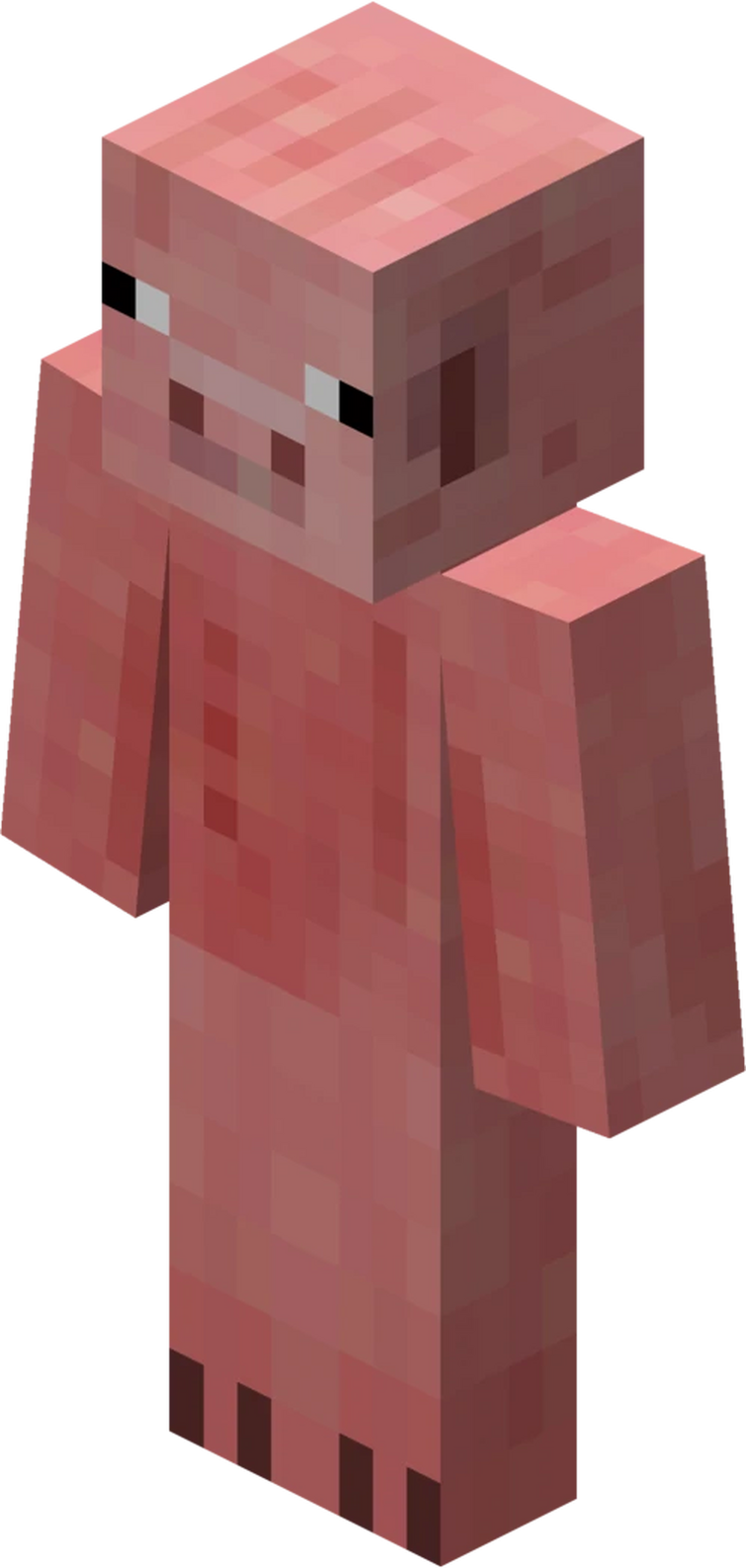 Pigman skin minecraft