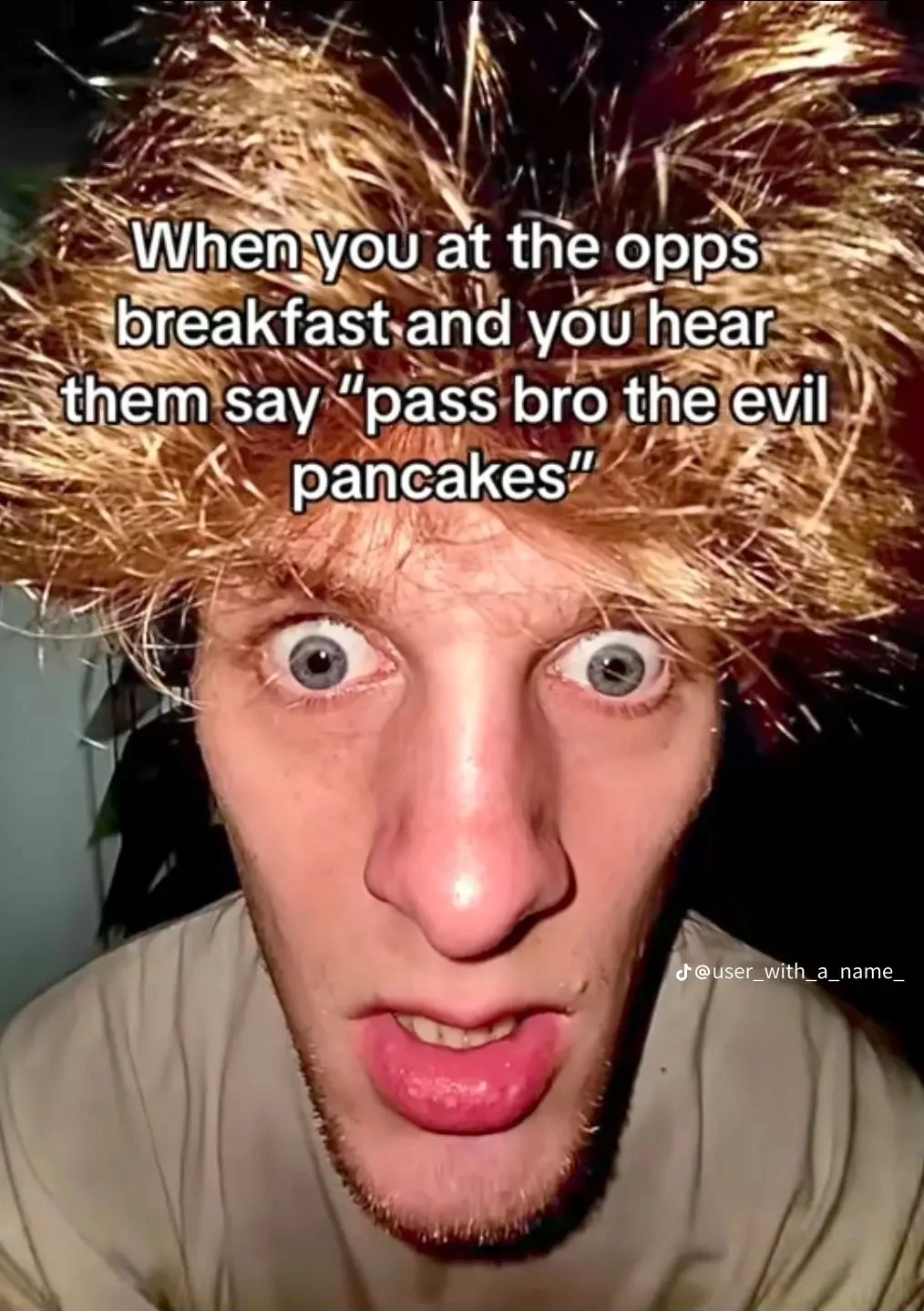 Daily meme 5 fandom
