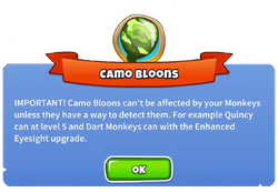 Introducing the bloondex: Forgot which rounds Camo bloons appear