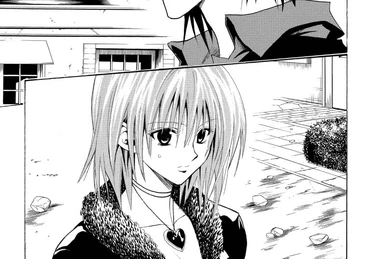 Chapter 101 | Black Cat Wiki | Fandom