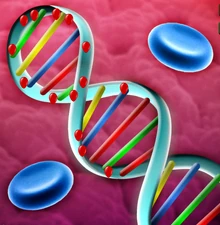 DNA Track. Note that there are Red Bloons shown on this picture.