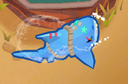 16/24 power Shark