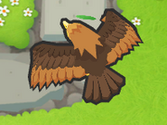 8/24 Golden Eagle back view