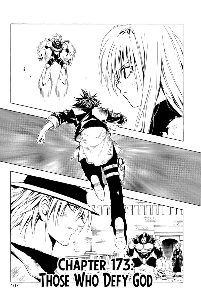 Chapter 173 | Black Cat Wiki | Fandom