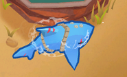 8/24 power Shark