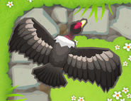 16/64 Giant Condor back view